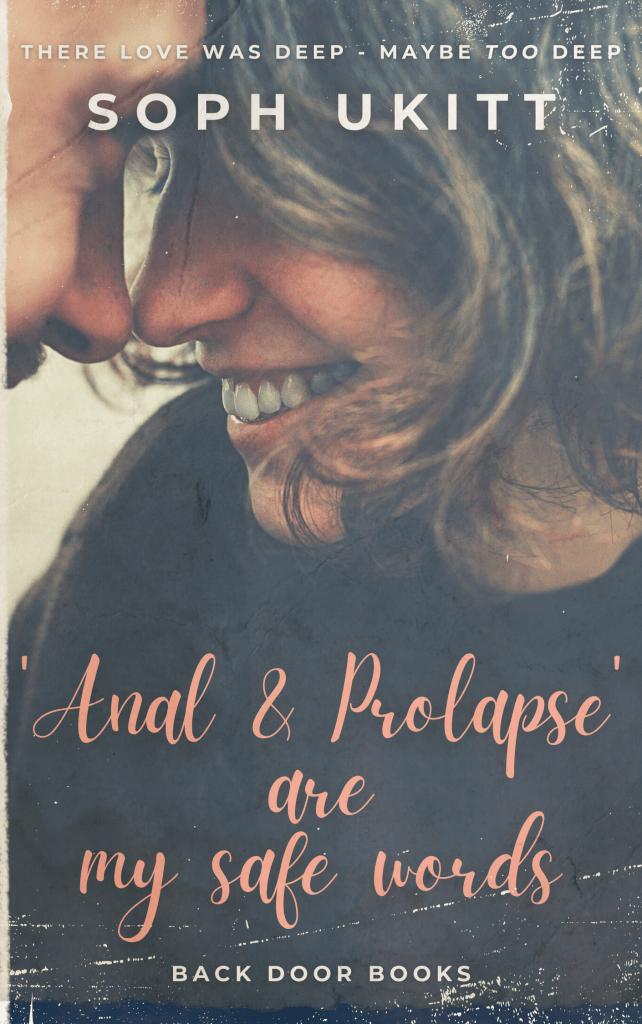 a book cover which is an image of a man and a woman smiling and about to kiss each other.